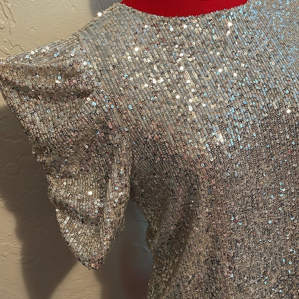 Rachel Zoe Silver Sequin Blouse